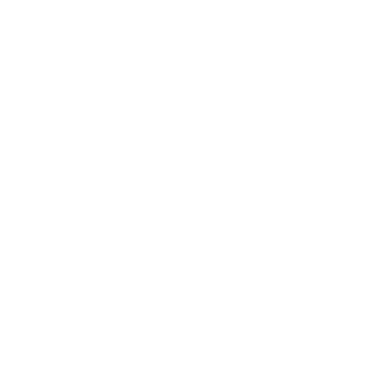 Logo BoraLá reduzida